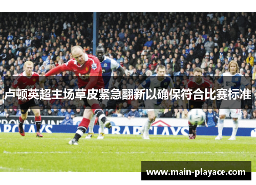 卢顿英超主场草皮紧急翻新以确保符合比赛标准
